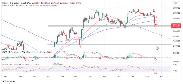 BTC Price Prediction As Bulls Defend $25k S/R, Wise Move Or Trap? BTC Price Prediction As Bulls Defend $25k S/R, Wise Move Or Trap?