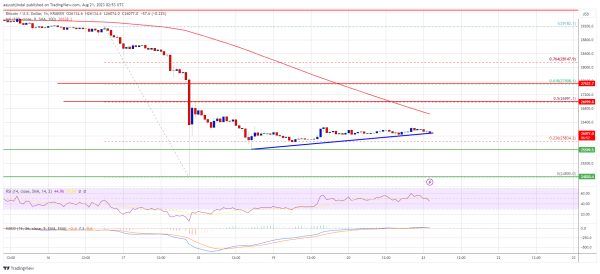 Bitcoin Price Consolidates Losses and At Risk of Fresh Decline To $25K Bitcoin Price Consolidates Losses and At Risk of Fresh Decline To $25K