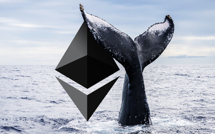 Three Wallets Dubbed "Smart Whales" Buy Huge Ethereum at Similar Price Levels Three Wallets Dubbed "Smart Whales" Buy Huge Ethereum at Similar Price Levels