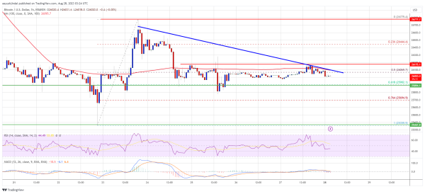 Bitcoin Price Relatively Muted, What Are Chances of Recovery? Bitcoin Price Relatively Muted, What Are Chances of Recovery?