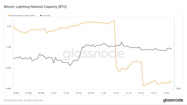Lightning network capacity decreases while number of channels grows Lightning network capacity decreases while number of channels grows
