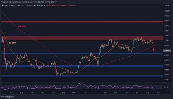 Despite the Crash to $25K, is a Bitcoin Bull Market Still in Play? (BTC Price Analysis) Despite the Crash to $25K, is a Bitcoin Bull Market Still in Play? (BTC Price Analysis)