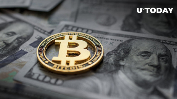 Bitcoin User Just Paid Half a Million Dollars for a Single Transaction Bitcoin User Just Paid Half a Million Dollars for a Single Transaction