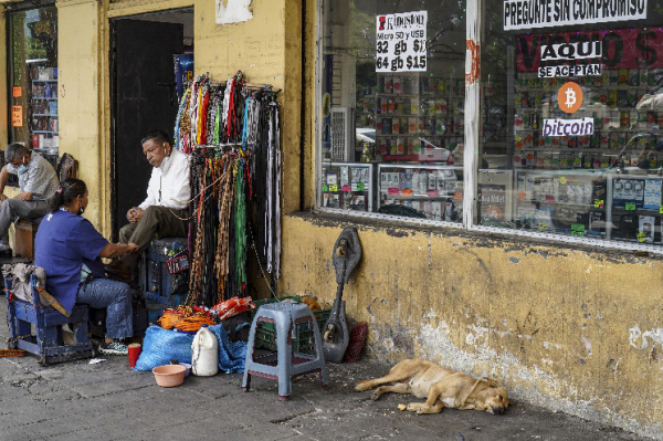 Building Trust in the Bitcoin Network in El Salvador Building Trust in the Bitcoin Network in El Salvador
