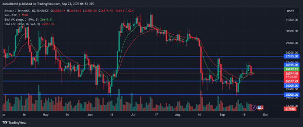 BTC Loses the Interest of Holders as Liquidations Spike BTC Loses the Interest of Holders as Liquidations Spike