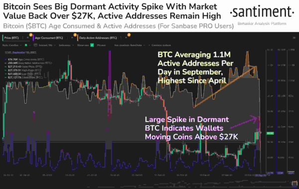 Why is Bitcoin up this week? Why is Bitcoin up this week?