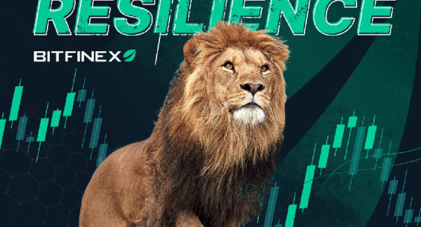 The Evolution of Bitfinex and its Role in the Rise of Bitcoin The Evolution of Bitfinex and its Role in the Rise of Bitcoin