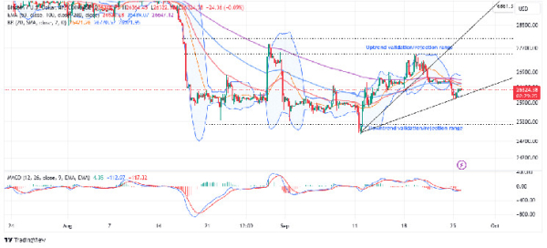 Bitcoin Price Prediction As Spot Trading Volume Plunges To 6-Year Low, Bullish Or Bearish? Bitcoin Price Prediction As Spot Trading Volume Plunges To 6-Year Low, Bullish Or Bearish?