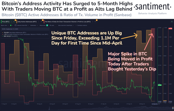 Bitcoin Wallet Activity Touches 5-Month High, Will BTC Price Follow? Bitcoin Wallet Activity Touches 5-Month High, Will BTC Price Follow?