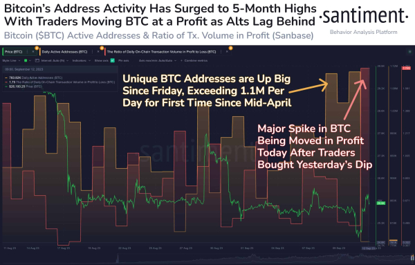 Bitcoin Active Addresses Hit 5-Month High, BTC Price Rally Ahead? Bitcoin Active Addresses Hit 5-Month High, BTC Price Rally Ahead?