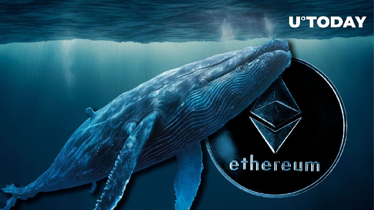 Whale Buys 19,508 ETH in Last Two Days, Buying Dip or Insider Trading? Whale Buys 19,508 ETH in Last Two Days, Buying Dip or Insider Trading?