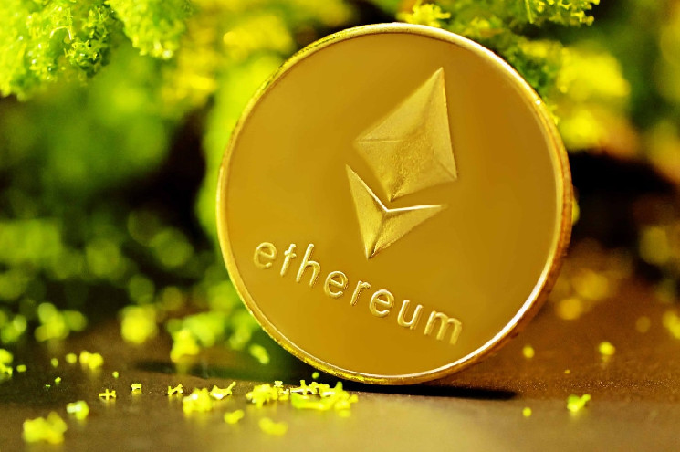 What Are the Stories of the Biggest Ethereum Whales? One Burned Over $500 Million Worth of ETH What Are the Stories of the Biggest Ethereum Whales? One Burned Over $500 Million Worth of ETH