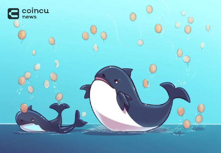 Whale Resumes Ethereum Accumulation as Price Bounces Back! Whale Resumes Ethereum Accumulation as Price Bounces Back!