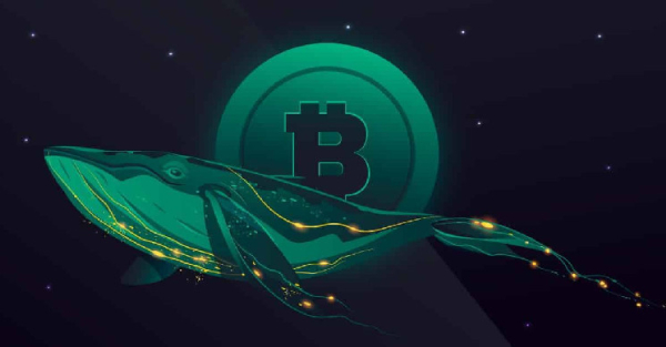 BTC, ETH, SHIB Whales Go on Rampage With Mega Transaction Rallies BTC, ETH, SHIB Whales Go on Rampage With Mega Transaction Rallies