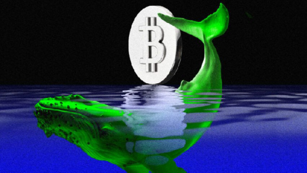 Bitcoin Moguls Convene in Montenegro to Mull Hydro BTC Bonds  Bitcoin Moguls Convene in Montenegro to Mull Hydro BTC Bonds