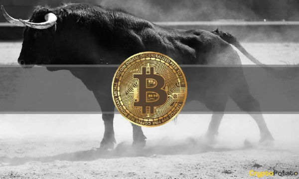 Bitcoin Eyes $50K to $53K Target: Optimistic Outlook Reinforced by Lack of Retail Liquidity Bitcoin Eyes $50K to $53K Target: Optimistic Outlook Reinforced by Lack of Retail Liquidity