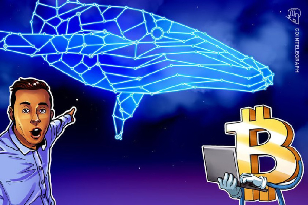 Bitcoin options data shows whales betting big — Will $50K BTC come in January? Bitcoin options data shows whales betting big — Will $50K BTC come in January?