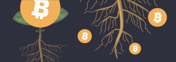 The Importance of BRC-20 for the Future of Cryptocurrency The Importance of BRC-20 for the Future of Cryptocurrency