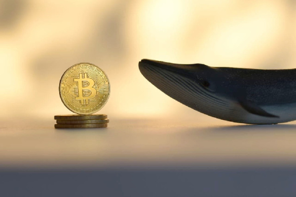 Alert: Bitcoin on-chain data hints 'whales are taking profits’ Alert: Bitcoin on-chain data hints 'whales are taking profits’