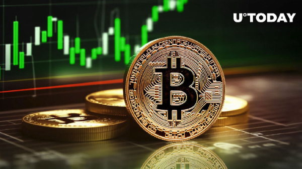 Bitcoin Traders Set Sight on $50,000 BTC Price as Altcoins Boom Bitcoin Traders Set Sight on $50,000 BTC Price as Altcoins Boom