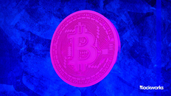 Bitcoin has rallied. But where is the price going next? Bitcoin has rallied. But where is the price going next?