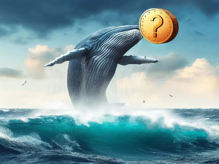 Smart Giant Whale Switched to Buying Mode Again: Here are the Altcoins He Bought and His Transactions! Smart Giant Whale Switched to Buying Mode Again: Here are the Altcoins He Bought and His Transactions!