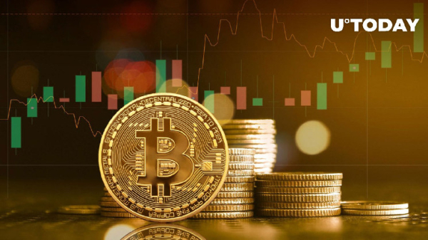 Bitcoin (BTC) Might Rally After Minor Dip: Trader Bitcoin (BTC) Might Rally After Minor Dip: Trader