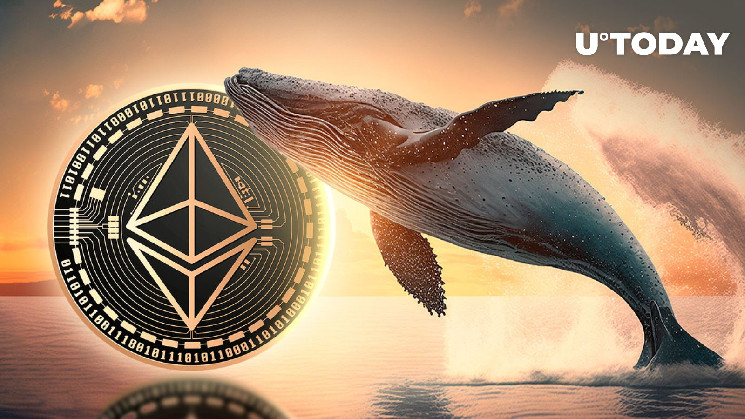 This Smart and Profitable Ethereum (ETH) Whale Makes Strategic Moves This Smart and Profitable Ethereum (ETH) Whale Makes Strategic Moves