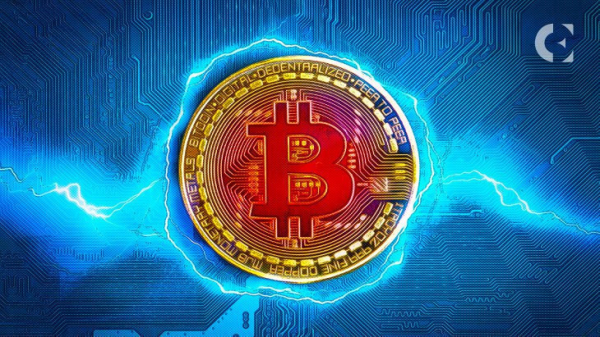Bitcoin (BTC) to $12,000? That’s a Big No, HODLer States Bitcoin (BTC) to $12,000? That’s a Big No, HODLer States