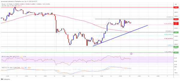 Bitcoin Price Uptrend To Continue? These Could Be The Factors To Watch Bitcoin Price Uptrend To Continue? These Could Be The Factors To Watch