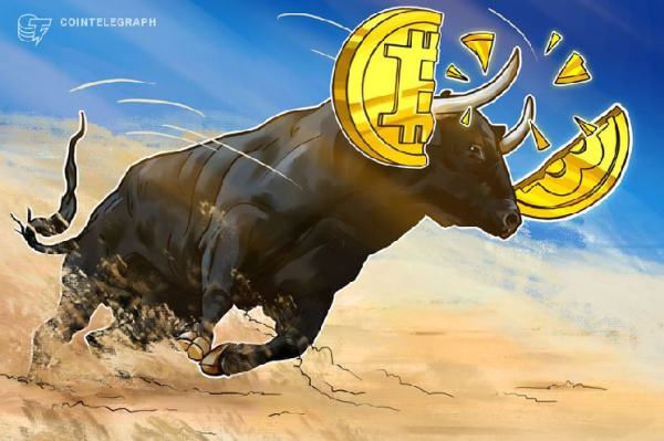 Bitcoin halving, BTC ETF hype driving price up into 2024 - NBX Berlin Bitcoin halving, BTC ETF hype driving price up into 2024 - NBX Berlin