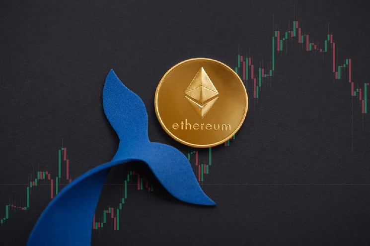Ethereum price prediction as mysterious whale bags $50 million of ETH in minutes Ethereum price prediction as mysterious whale bags $50 million of ETH in minutes