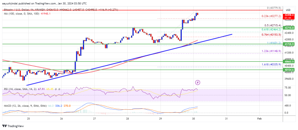 Bitcoin Price Regains Strength As The Bulls Aim For Retest of $45K Bitcoin Price Regains Strength As The Bulls Aim For Retest of $45K