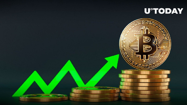 Bitcoin Price History Signals Double-Digit Growth in February Bitcoin Price History Signals Double-Digit Growth in February