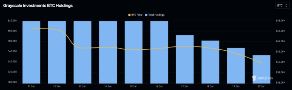 Nine new spot bitcoin ETFs amass over 100,000 BTC Nine new spot bitcoin ETFs amass over 100,000 BTC