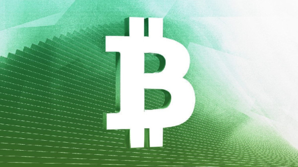 Bitcoin rebounds above $43,000 as analysts highlight possible rate pause at Fed's January meeting Bitcoin rebounds above $43,000 as analysts highlight possible rate pause at Fed's January meeting