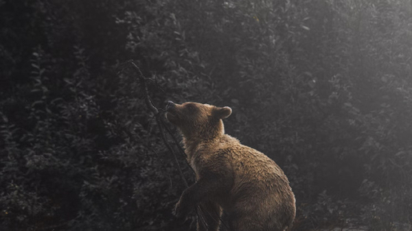 Crypto Bulls Lose $217M as Apparent Grayscale Sales Weighs on Bitcoin Crypto Bulls Lose $217M as Apparent Grayscale Sales Weighs on Bitcoin