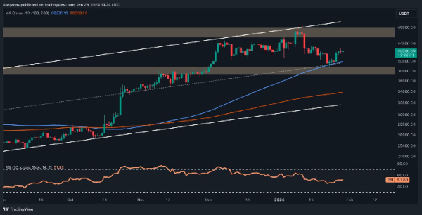 Bitcoin Soars Toward $43K: How High Can it Get? (BTC Price Analysis) Bitcoin Soars Toward $43K: How High Can it Get? (BTC Price Analysis)