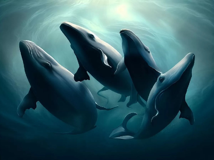 Preparing for the Bull, Whales Are Collecting This Altcoin From The Low Level! They Made a New Purchase of 64 Million Dollars! Preparing for the Bull, Whales Are Collecting This Altcoin From The Low Level! They Made a New Purchase of 64 Million Dollars!