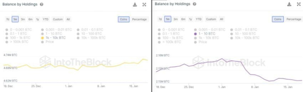 Why Bitcoin Has Yet to Enter Real Bull Market Territory Why Bitcoin Has Yet to Enter Real Bull Market Territory