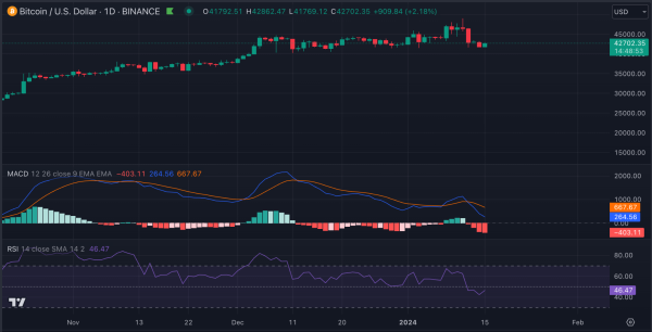 Major Bitcoin Liquidation Levels Identified at $42,000 and $46,000 Major Bitcoin Liquidation Levels Identified at $42,000 and $46,000