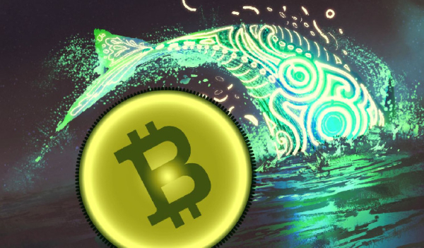 Bitcoin Whale Abruptly Moves Over $280,000,000 in BTC – Here’s Where the Crypto’s Headed Bitcoin Whale Abruptly Moves Over $280,000,000 in BTC – Here’s Where the Crypto’s Headed