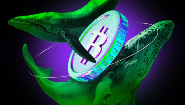 Why ETF Investors Should Worry About $3 Billion In Bitcoin (BTC) Whale Accumulation Why ETF Investors Should Worry About $3 Billion In Bitcoin (BTC) Whale Accumulation