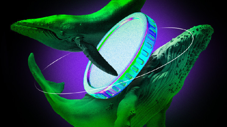 Ethereum Whale Who Sold the Top Just Bought $8.9 Million in ETH Ethereum Whale Who Sold the Top Just Bought $8.9 Million in ETH