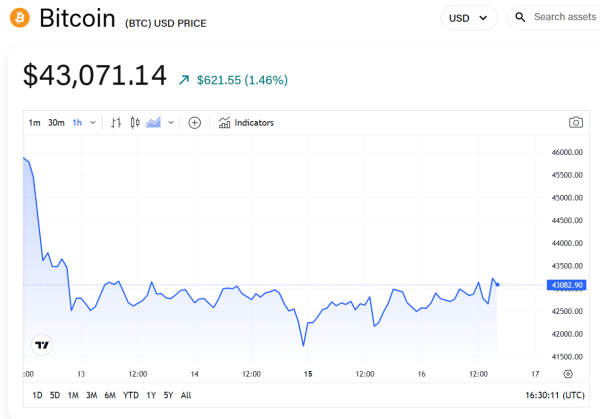 Bitcoin rebounds above $43,000 as analysts highlight possible rate pause at Fed's January meeting Bitcoin rebounds above $43,000 as analysts highlight possible rate pause at Fed's January meeting