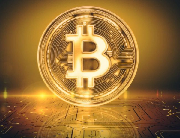 Bitcoin Holders Moving Big: Number Of Whale Wallets Reaches Highest Count In 15 Months Bitcoin Holders Moving Big: Number Of Whale Wallets Reaches Highest Count In 15 Months