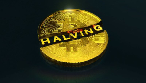 Bitcoin 2024 price prediction as halving hype heats up Bitcoin 2024 price prediction as halving hype heats up