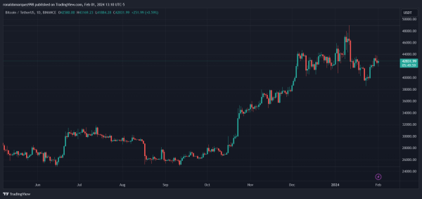 Market Survey Signals Bull Run: Investors Predict Bitcoin To Surpass $69,000 Post Halving Market Survey Signals Bull Run: Investors Predict Bitcoin To Surpass $69,000 Post Halving