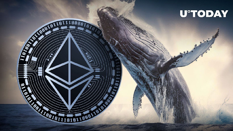 Another Dormant Ethereum Whale With Pre-Mined ETH Suddenly Wakes Up Another Dormant Ethereum Whale With Pre-Mined ETH Suddenly Wakes Up