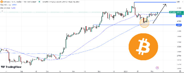 Bitcoin Price Pushes Above $44,000 as Bulls Regain Control – Where Next for BTC? Bitcoin Price Pushes Above $44,000 as Bulls Regain Control – Where Next for BTC?
